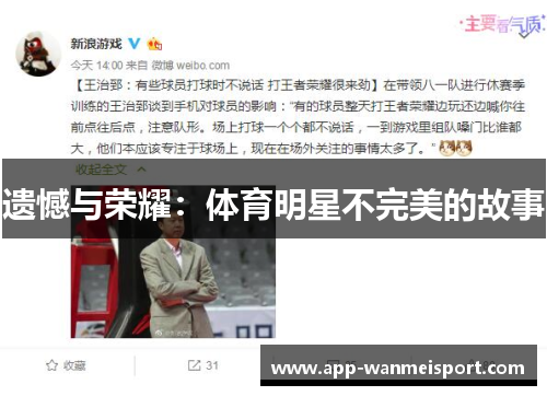 遗憾与荣耀：体育明星不完美的故事
